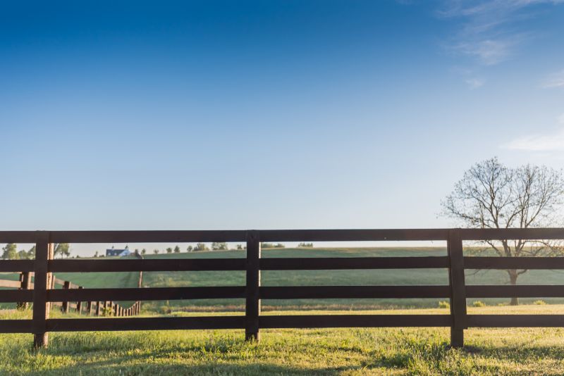 Best Fence Repair Contractors in Longmont, CO